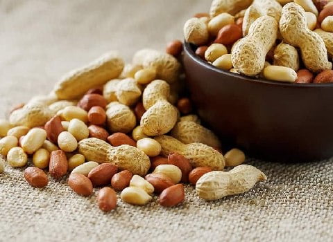 فروش بادام زمینی خام+ خرید باورنکردنی
